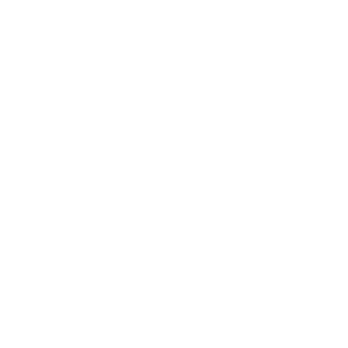 logo footer